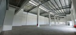 LINER (D22), Factory #557281461